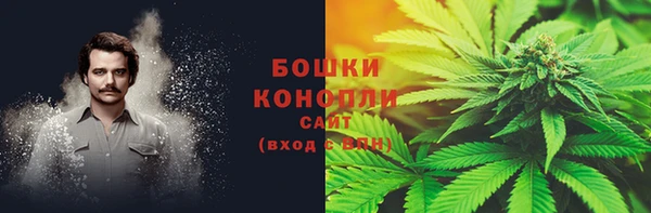 мяу мяу мука Каменногорск