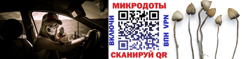 Псилоцибиновые грибы мухоморы  Купить где  Богородск 